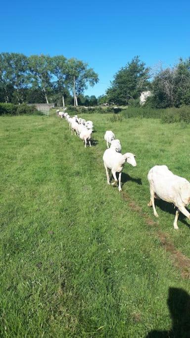 Gite A La Ferme, Avec Animaux, Fromages Et Nature Neuville-les-Decize Exterior foto